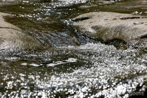 Смугарські водоспади, Усть-Путильська громада