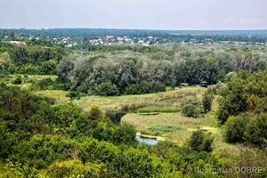 Парк ім. Репіна, Чугуївська громада