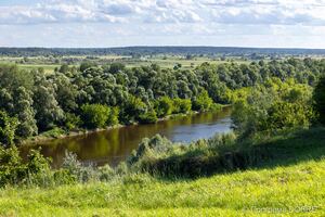 Місцина Кам’янка, Мезинський національний природній парк, село Вишеньки, Коропська громада