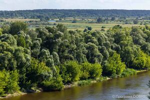 Місцина Кам’янка, Мезинський національний природній парк, село Вишеньки, Коропська громада