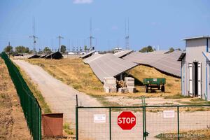 Наземна сонячна електростанція СЕС Морозівка, селище Новоселівка, Приютівська громада