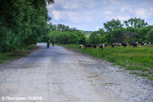 Thumb %d0%97%d0%b0%d0%ba%d1%96%d0%bd%d1%87%d1%83%d1%94%d1%82%d1%8c%d1%81%d1%8f %d1%81%d0%b5%d0%bb%d0%be %d0%a1%d0%ba%d0%be%d0%bc%d0%be%d1%80%d0%be%d1%85%d0%b8 %d0%92%d0%b5%d0%bb%d0%b8%d0%ba%d0%be%d0%b3%d0%b0%d1%97%d0%b2%d1%81%d1%8c%d0%ba%d0%be%d1%97 %d0%b3%d1%80%d0%be%d0%bc%d0%b0%d0%b4%d0%b8   %d0%b7%d0%b0%d0%ba%d1%96%d0%bd%d1%87%d1%83%d1%94%d1%82%d1%8c%d1%81%d1%8f %d0%b2%d1%96%d0%b4%d1%80%d0%b5%d0%bc%d0%be%d0%bd%d1%82%d0%be%d0%b2%d0%b0%d0%bd%d0%b0 %d0%b4%d0%be%d1%80%d0%be%d0%b3%d0%b0 %d1%87%d0%b5%d1%80%d0%b2%d0%b5%d0%bd%d1%8c 2017 %d1%80.  2 