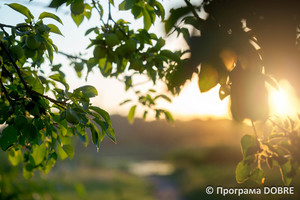 Маловисківська ОТГ. Природа