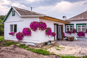 Селище Царичанка, Царичанська громада