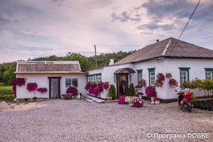 Селище Царичанка, Царичанська громада