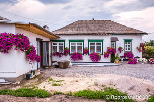 Селище Царичанка, Царичанська громада