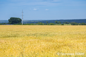 Село Волоське, Новоолександрівська громада