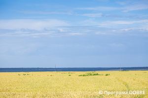 Село Волоське, Новоолександрівська громада