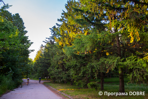 Хвойний парк, село Дослідне, Новоолександрівська громада