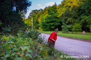 Хвойний парк, село Дослідне, Новоолександрівська громада