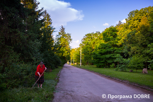 Хвойний парк, село Дослідне, Новоолександрівська громада