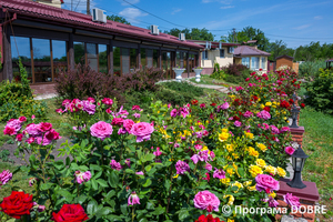 Кафе Калнишевський, Петриківська громада