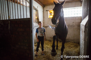 Петриківський кінний завод, Петриківська громада