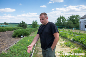 Дмитрівське лісництво, село Плоське, Дмитрівська громада