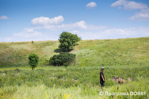 Thumb %d0%97%d0%b0%d0%bf%d0%be%d0%b2%d1%96%d0%b4%d0%bd%d0%b0 %d0%b7%d0%be%d0%bd%d0%b0 %d1%83%d1%80%d0%be%d1%87%d0%b8%d1%89%d0%b5  %d0%91%d0%be%d1%87%d0%ba%d0%b8   %d1%81%d0%b5%d0%bb%d0%be %d0%9a%d0%b0%d0%bb%d0%b8%d0%bd%d1%96%d0%b2%d0%ba%d0%b0  %d0%94%d0%bc%d0%b8%d1%82%d1%80%d1%96%d0%b2%d1%81%d1%8c%d0%ba%d0%b0 %d0%b3%d1%80%d0%be%d0%bc%d0%b0%d0%b4%d0%b0  15 