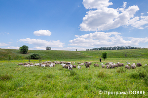 Thumb %d0%97%d0%b0%d0%bf%d0%be%d0%b2%d1%96%d0%b4%d0%bd%d0%b0 %d0%b7%d0%be%d0%bd%d0%b0 %d1%83%d1%80%d0%be%d1%87%d0%b8%d1%89%d0%b5  %d0%91%d0%be%d1%87%d0%ba%d0%b8   %d1%81%d0%b5%d0%bb%d0%be %d0%9a%d0%b0%d0%bb%d0%b8%d0%bd%d1%96%d0%b2%d0%ba%d0%b0  %d0%94%d0%bc%d0%b8%d1%82%d1%80%d1%96%d0%b2%d1%81%d1%8c%d0%ba%d0%b0 %d0%b3%d1%80%d0%be%d0%bc%d0%b0%d0%b4%d0%b0  16 