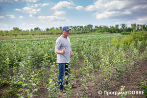 Thumb %d0%9e%d0%bb%d0%b5%d0%b3 %d0%9e%d0%b2%d1%80%d0%b0%d1%81 %d1%82%d0%b0 %d0%b9%d0%be%d0%b3%d0%be %d1%8f%d0%b1%d0%bb%d1%83%d0%bd%d0%b5%d0%b2%d1%96 %d1%81%d0%b0%d0%b4%d0%b8  %d1%81%d0%b5%d0%bb%d0%be %d0%a6%d0%b8%d0%b1%d1%83%d0%bb%d0%b5%d0%b2%d0%b5  %d0%94%d0%bc%d0%b8%d1%82%d1%80%d1%96%d0%b2%d1%81%d1%8c%d0%ba%d0%b0 %d0%b3%d1%80%d0%be%d0%bc%d0%b0%d0%b4%d0%b0  12 