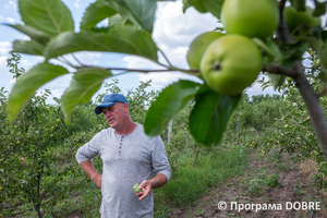 Thumb %d0%9e%d0%bb%d0%b5%d0%b3 %d0%9e%d0%b2%d1%80%d0%b0%d1%81 %d1%82%d0%b0 %d0%b9%d0%be%d0%b3%d0%be %d1%8f%d0%b1%d0%bb%d1%83%d0%bd%d0%b5%d0%b2%d1%96 %d1%81%d0%b0%d0%b4%d0%b8  %d1%81%d0%b5%d0%bb%d0%be %d0%a6%d0%b8%d0%b1%d1%83%d0%bb%d0%b5%d0%b2%d0%b5  %d0%94%d0%bc%d0%b8%d1%82%d1%80%d1%96%d0%b2%d1%81%d1%8c%d0%ba%d0%b0 %d0%b3%d1%80%d0%be%d0%bc%d0%b0%d0%b4%d0%b0  11 