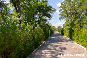 Парк села Дмирівка, Дмитрівська громада