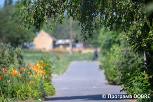 Парк села Дмирівка, Дмитрівська громада