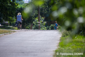 село Дмитрівка, Дмитрівська громада