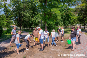 Толока в парку, Дмитрівська громада