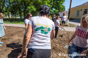 Толока в парку, Дмитрівська громада