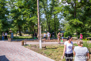 Толока в парку, Дмитрівська громада