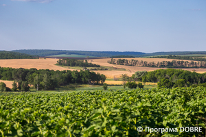 Thumb %d0%a6%d0%b2%d1%96%d1%82%d0%b5 %d1%81%d0%be%d0%bd%d1%8f%d1%88%d0%bd%d0%b8%d0%ba %d1%84%d0%b5%d1%80%d0%bc%d0%b5%d1%80%d1%81%d1%8c%d0%ba%d0%be%d0%b3%d0%be %d0%b3%d0%be%d1%81%d0%bf%d0%be%d0%b4%d0%b0%d1%80%d1%81%d1%82%d0%b2%d0%b0  %d0%a0%d0%be%d1%81%d1%82%d0%be%d0%ba   %d1%81%d0%b5%d0%bb%d0%be %d0%a6%d0%b8%d0%b1%d1%83%d0%bb%d0%b5%d0%b2%d0%b5  %d0%94%d0%bc%d0%b8%d1%82%d1%80%d1%96%d0%b2%d1%81%d1%8c%d0%ba%d0%b0 %d0%b3%d1%80%d0%be%d0%bc%d0%b0%d0%b4%d0%b0  2 