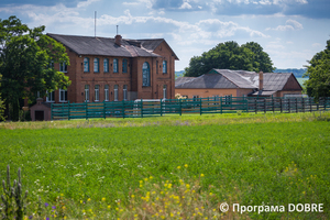 Школа в селі Цибулеве, Дмитрівська громада