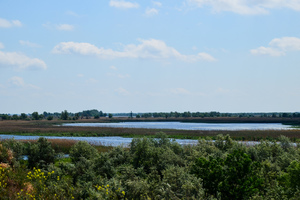 Дніпровський осетровий завод (село Дніпровське)