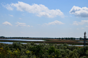 Дніпровський осетровий завод (село Дніпровське)