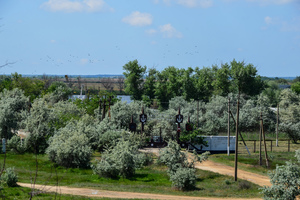 Ландшафтний заказник "Станіслав" (Херсон)