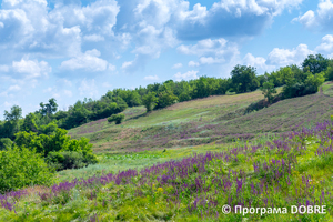 Місцина «Скелі», Помічнянська громада