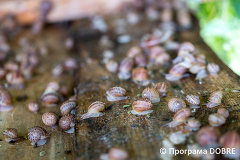 For collage %d0%a1%d1%96%d0%bc%d0%b5%d0%b9%d0%bd%d0%b5 %d1%84%d0%b5%d1%80%d0%bc%d0%b5%d1%80%d1%81%d1%8c%d0%ba%d0%b5 %d0%b3%d0%be%d1%81%d0%bf%d0%be%d0%b4%d0%b0%d1%80%d1%81%d1%82%d0%b2%d0%be %d0%9f%d0%b0%d0%bd %d1%80%d0%b0%d0%b2%d0%bb%d0%b8%d0%ba  %d0%93%d0%b0%d0%bb%d0%b8%d1%86%d0%b8%d0%bd%d1%96%d0%b2%d1%81%d1%8c%d0%ba%d0%b0 %d0%b3%d1%80%d0%be%d0%bc%d0%b0%d0%b4%d0%b0  5 