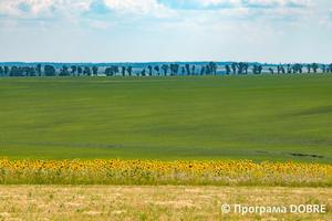 Краєвиди Золочівської громади