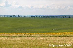 Краєвиди Золочівської громади