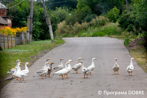 Селище Золочів, Золочівська громада