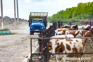 Thumb %d0%a4%d0%b5%d1%80%d0%bc%d0%b0 %d0%a1%d0%a2%d0%9e%d0%92  %d0%9f%d0%b5%d1%80%d1%88%d0%b5 %d0%a2%d1%80%d0%b0%d0%b2%d0%bd%d1%8f   %d1%81%d0%b5%d0%bb%d0%be %d0%a1%d0%b2%d1%96%d1%82%d0%bb%d0%b8%d1%87%d0%bd%d0%b5  %d0%97%d0%be%d0%bb%d0%be%d1%87%d1%96%d0%b2%d1%81%d1%8c%d0%ba%d0%b0 %d0%b3%d1%80%d0%be%d0%bc%d0%b0%d0%b4%d0%b0  1 