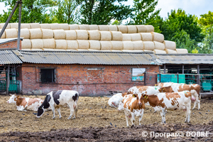 Thumb %d0%a4%d0%b5%d1%80%d0%bc%d0%b0 %d0%a1%d0%a2%d0%9e%d0%92  %d0%9f%d0%b5%d1%80%d1%88%d0%b5 %d0%a2%d1%80%d0%b0%d0%b2%d0%bd%d1%8f   %d1%81%d0%b5%d0%bb%d0%be %d0%a1%d0%b2%d1%96%d1%82%d0%bb%d0%b8%d1%87%d0%bd%d0%b5  %d0%97%d0%be%d0%bb%d0%be%d1%87%d1%96%d0%b2%d1%81%d1%8c%d0%ba%d0%b0 %d0%b3%d1%80%d0%be%d0%bc%d0%b0%d0%b4%d0%b0  4 