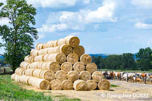 Thumb %d0%a4%d0%b5%d1%80%d0%bc%d0%b0 %d0%a1%d0%a2%d0%9e%d0%92  %d0%9f%d0%b5%d1%80%d1%88%d0%b5 %d0%a2%d1%80%d0%b0%d0%b2%d0%bd%d1%8f   %d1%81%d0%b5%d0%bb%d0%be %d0%a1%d0%b2%d1%96%d1%82%d0%bb%d0%b8%d1%87%d0%bd%d0%b5  %d0%97%d0%be%d0%bb%d0%be%d1%87%d1%96%d0%b2%d1%81%d1%8c%d0%ba%d0%b0 %d0%b3%d1%80%d0%be%d0%bc%d0%b0%d0%b4%d0%b0  12 