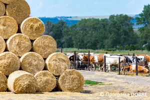 Thumb %d0%a4%d0%b5%d1%80%d0%bc%d0%b0 %d0%a1%d0%a2%d0%9e%d0%92  %d0%9f%d0%b5%d1%80%d1%88%d0%b5 %d0%a2%d1%80%d0%b0%d0%b2%d0%bd%d1%8f   %d1%81%d0%b5%d0%bb%d0%be %d0%a1%d0%b2%d1%96%d1%82%d0%bb%d0%b8%d1%87%d0%bd%d0%b5  %d0%97%d0%be%d0%bb%d0%be%d1%87%d1%96%d0%b2%d1%81%d1%8c%d0%ba%d0%b0 %d0%b3%d1%80%d0%be%d0%bc%d0%b0%d0%b4%d0%b0  13 