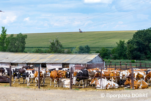 Thumb %d0%a4%d0%b5%d1%80%d0%bc%d0%b0 %d0%a1%d0%a2%d0%9e%d0%92  %d0%9f%d0%b5%d1%80%d1%88%d0%b5 %d0%a2%d1%80%d0%b0%d0%b2%d0%bd%d1%8f   %d1%81%d0%b5%d0%bb%d0%be %d0%a1%d0%b2%d1%96%d1%82%d0%bb%d0%b8%d1%87%d0%bd%d0%b5  %d0%97%d0%be%d0%bb%d0%be%d1%87%d1%96%d0%b2%d1%81%d1%8c%d0%ba%d0%b0 %d0%b3%d1%80%d0%be%d0%bc%d0%b0%d0%b4%d0%b0  14 