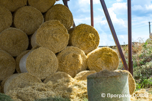 Thumb %d0%a4%d0%b5%d1%80%d0%bc%d0%b0 %d0%a1%d0%a2%d0%9e%d0%92  %d0%9f%d0%b5%d1%80%d1%88%d0%b5 %d0%a2%d1%80%d0%b0%d0%b2%d0%bd%d1%8f   %d1%81%d0%b5%d0%bb%d0%be %d0%a1%d0%b2%d1%96%d1%82%d0%bb%d0%b8%d1%87%d0%bd%d0%b5  %d0%97%d0%be%d0%bb%d0%be%d1%87%d1%96%d0%b2%d1%81%d1%8c%d0%ba%d0%b0 %d0%b3%d1%80%d0%be%d0%bc%d0%b0%d0%b4%d0%b0  15 