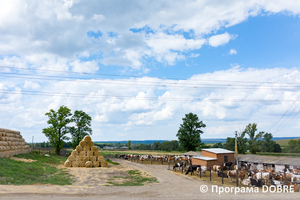 Thumb %d0%a4%d0%b5%d1%80%d0%bc%d0%b0 %d0%a1%d0%a2%d0%9e%d0%92  %d0%9f%d0%b5%d1%80%d1%88%d0%b5 %d0%a2%d1%80%d0%b0%d0%b2%d0%bd%d1%8f   %d1%81%d0%b5%d0%bb%d0%be %d0%a1%d0%b2%d1%96%d1%82%d0%bb%d0%b8%d1%87%d0%bd%d0%b5  %d0%97%d0%be%d0%bb%d0%be%d1%87%d1%96%d0%b2%d1%81%d1%8c%d0%ba%d0%b0 %d0%b3%d1%80%d0%be%d0%bc%d0%b0%d0%b4%d0%b0  17 